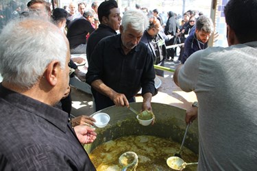 همایش جاماندگان قافله اربعین در کاشمر