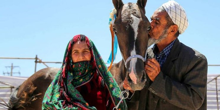 جشنواره ملی زیبایی اسب اصیل ترکمن در خراسان‌شمالی برگزار می‌شود