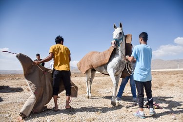 نخستین همایش ملی اسب اصیل ترکمن در بجنورد