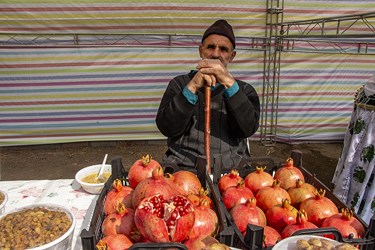 جشنواره انار و انجیر در منطقه مرزی نوردوز