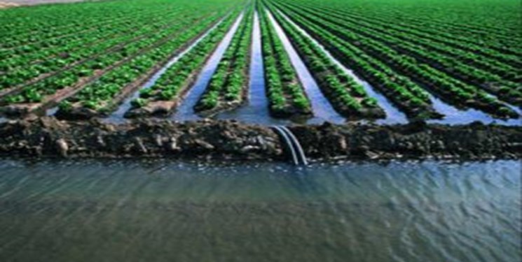 تاثیر بارش‌های پاییزه در کشت محصولات کشاورزی/کشاورزان محصولات کشاورزی را از سرما محافظت کنند
