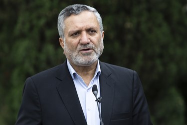  صولت مرتضوی وزیر تعاون، کار و رفاه اجتماعی درحاشیه جلسه هیات دولت