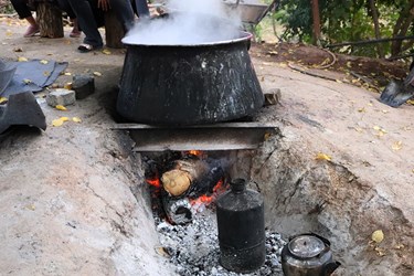 «برداشت انار» در روستای محمودآباد فیروزکوه