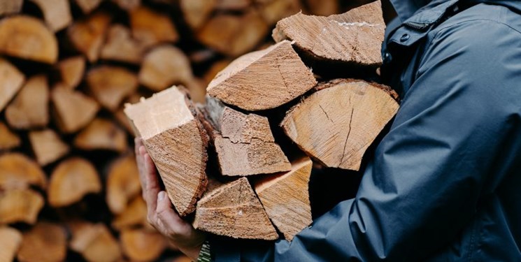 گردش مالی ۱۰۰ میلیارد تومانی تجارت چوب در گیلان