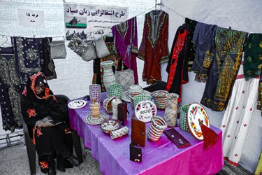 همایش طلایه داران اقتصاد مقاومتی در هرمزگان