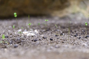 کاروانسرای «قُزْلُقْ» در گلستان