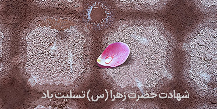 غریبانه‌ای در ایام شهادت حضرت زهرا (س)/ معرفی بانوان شهید ایرانی در ویژه برنامه «غریبانه»