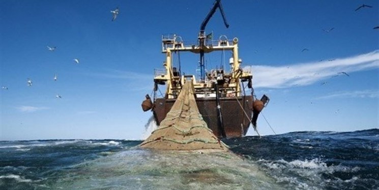 تخلیه 1800 تن صید آب‌های دور در بندرجاسک