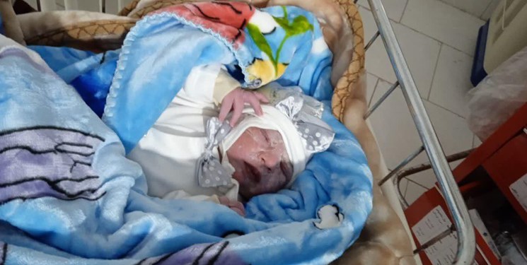 تولد نوزادی دیگر در جزیره بوموسی مروارید خلیج فارس