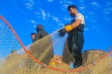 صید ماهی در «مازندران»