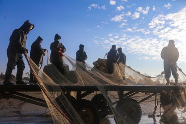 صید ماهی در «مازندران»