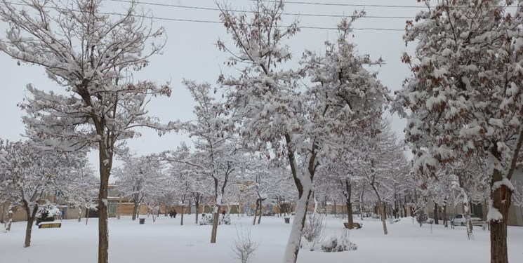 21 سانتی‌متر برف در «بروجن» بارید/ برف‌روبی راه‌های روستایی تا ساعاتی دیگر