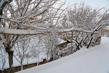 زیبایی های برفی شهرکرد