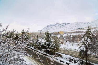 زیبایی های برفی شهرکرد