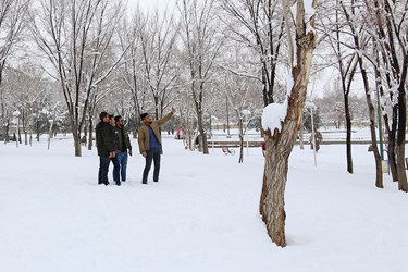 زیبایی های برفی شهرکرد