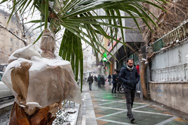 یک روز برفی درتهران 