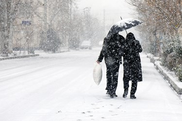 «بارش برف» در البرز