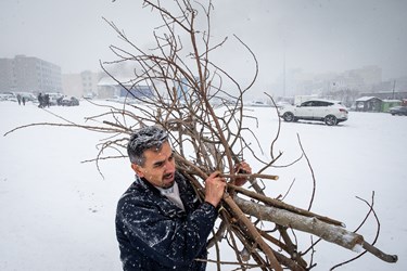 تهران برفی 