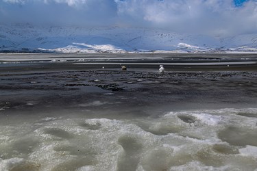 یخ زدن «تالاب چُغاخور»