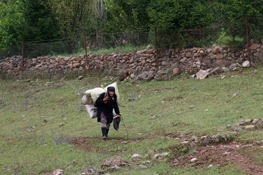 بانوان روستایی مازندران 