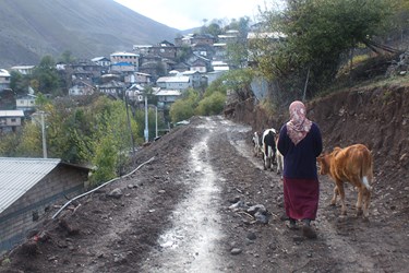 بانوان روستایی مازندران 