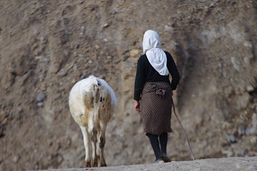 بر اساس مدارک و واقعیات موجود، زنان سهم عمده ای در فعالیتهای اقتصادی و تولیدی کشورهای در حال توسعه دارند.