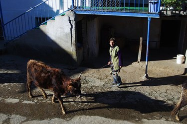 بانوان روستایی مازندران 