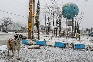 بارش برف در روستای تاریخی قلات شیراز 