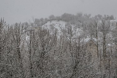 بارش برف در روستای تاریخی قلات شیراز 