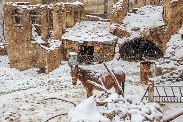 بارش برف در روستای تاریخی قلات شیراز 