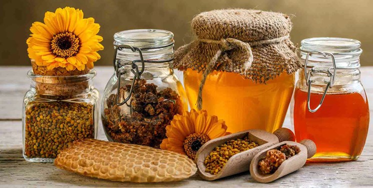 تولید 15676 تن عسل در آذربایجان‌شرقی/ 1.1 میلیون کلنی زنبور عسل مدرن
