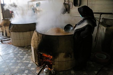 برداشت نیشکر در روستای کرچنگ قائم‌شهر