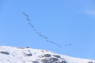 سد زاینده رود در زمستانی برفی