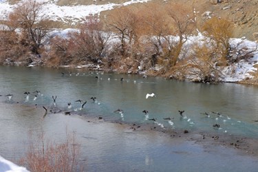 سد زاینده رود در زمستانی برفی