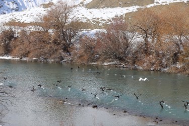 سد زاینده رود در زمستانی برفی