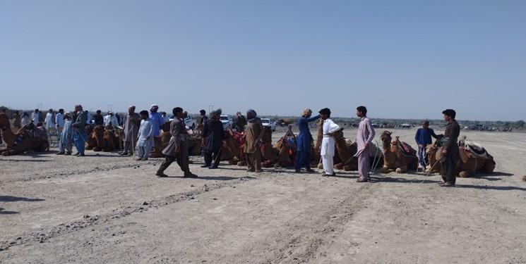 برگزاری مسابقه شتردوانی در روستای اسماعیلچات زرآباد