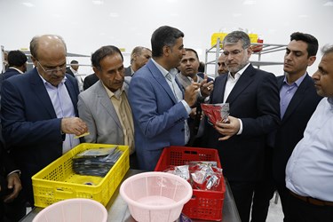 سفر وزیر جهاد کشاورزی به «میناب»