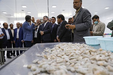 سفر وزیر جهاد کشاورزی به «میناب»