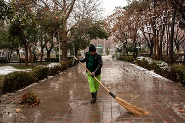 پاکبان ها مشغول پاکسازی محل شیف خود در پارک لاله تهران هستند