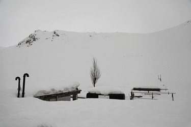 حجم سنگین برف در «کوهرنگ»