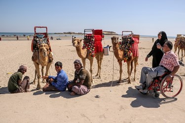 مرحله پایانی سومین دوره «رالی خانوادگی» جانبازان نخاعی فارس