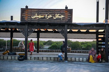 جنگل حَرّا؛ یکی از «عجایب هفتگانه قشم»
