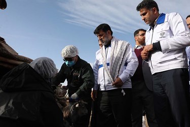رزمایش جهادی دامپزشکی در استان یزد