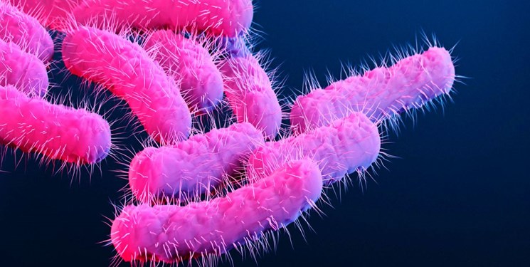 هشدار مرکز کنترل و پیشگیری از بیماری آمریکا در مورد مقاومت بالای نوعی باکتری  به دارو