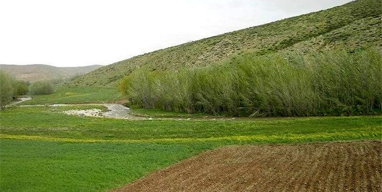 رفع تصرف 2182 هکتار از اراضی ملی استان خوزستان