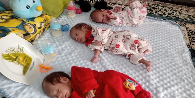 گزارش فارس از مشکلات 3 قلوهای 45 روزه کرمانی/ مادر خانواده: برای خرید شیرخشک و پوشک بچه‌ها هم مشکل داریم