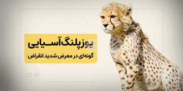 این وصیت پیروز است