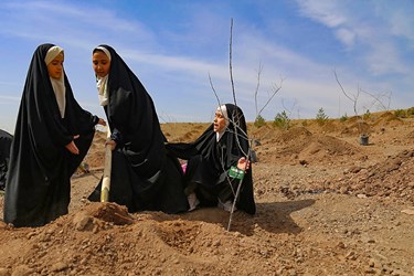 آیین روز درختکاری در «باغستان البرز»