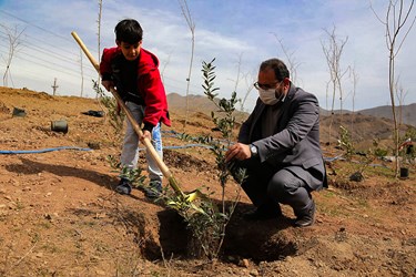 آیین روز درختکاری در «باغستان البرز»