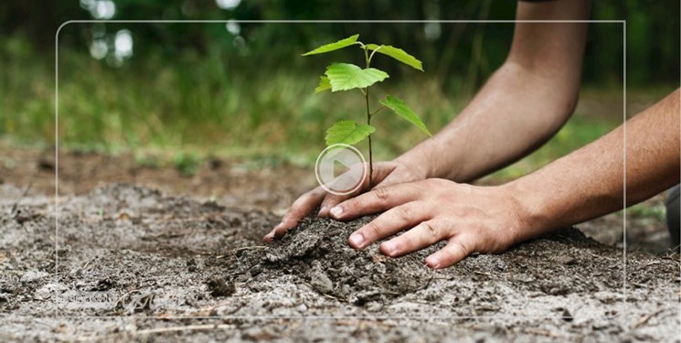 غرس بیش از ١٢٠ اصله نهال در مجموعه فرهنگی گردشگری دریاچه شهدای خلیج فارس